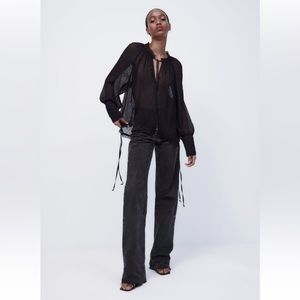 NWT ZARA pleated swiss dot blouse